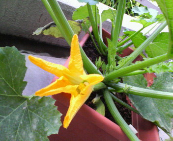 20070528_45843.jpg