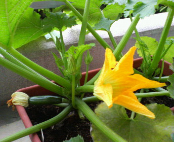20070602_51191.jpg