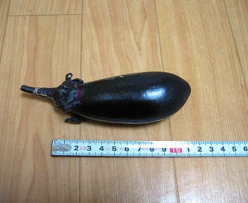 収穫直後のナス