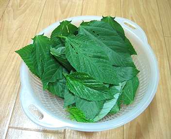 葉っぱだけ摘み取るとこんなに少ない
