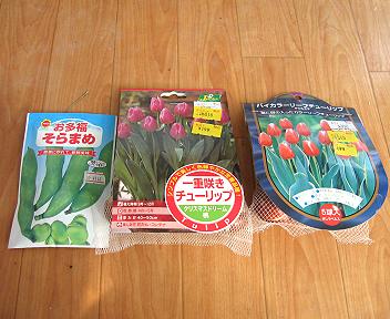 売れ残ってた球根