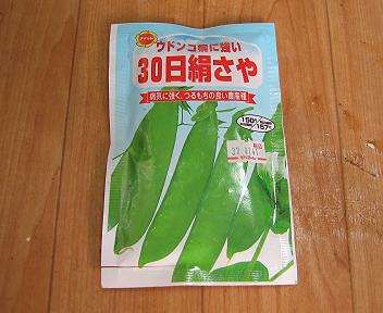 絹さやの種