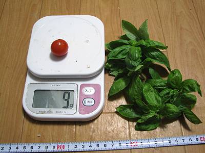 トマトとバジル
