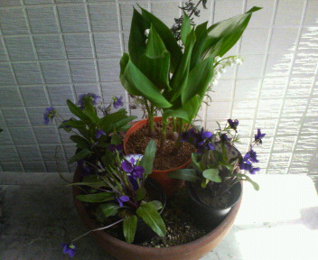 P1010258.jpg