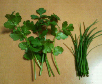 200904162227000.jpg