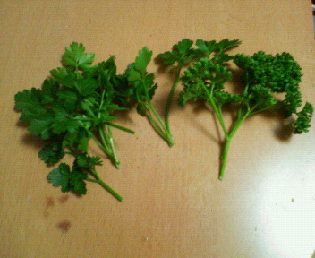 200905011021000.jpg