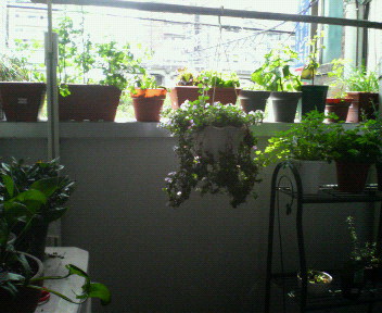 200905031808000.jpg