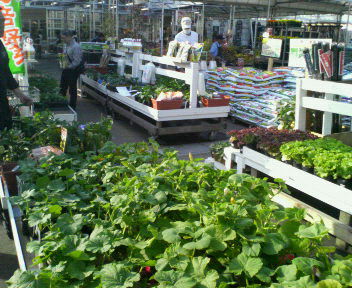 200905031819000.jpg