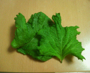200905042343000.jpg
