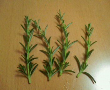 200905171302000.jpg