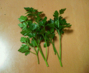 200906042234000.jpg