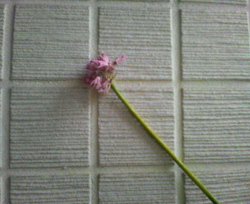 200906052329000.jpg
