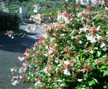 200909202230000.jpg