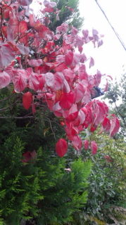 111110_115711.jpg