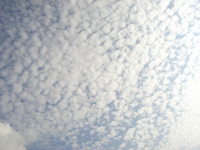 いわし雲