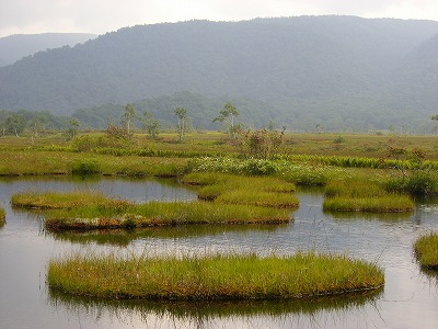 風景