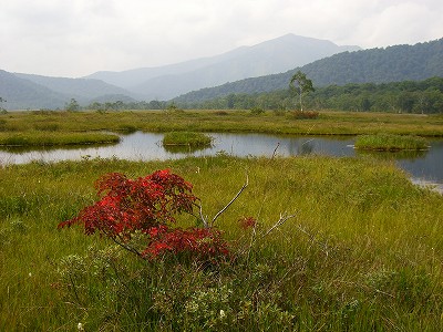 風景