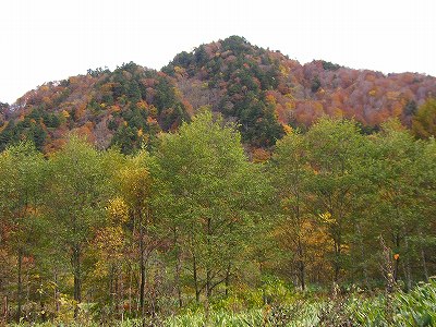 山の彩り