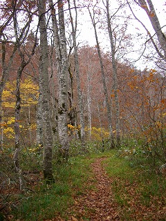登山道