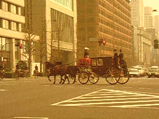 画像-0085_004.jpg