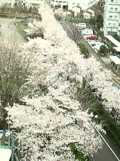 画像-0082_005.jpg