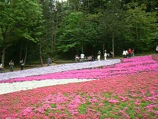 画像-0107_003.jpg