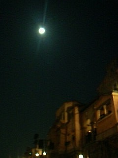 画像-0021_1212.jpg