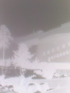 画像-NOR0013.jpg
