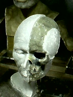画像-0064_002.jpg