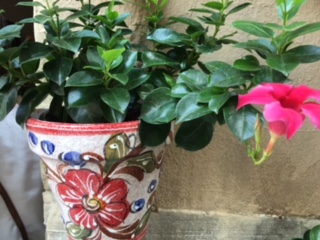 image1.jpeg