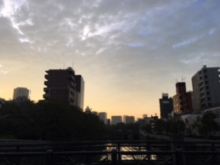 image1.jpeg