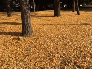 image2.jpeg