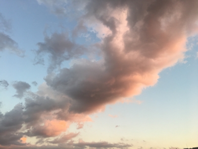 image1.jpeg