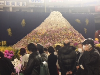 image4.jpeg