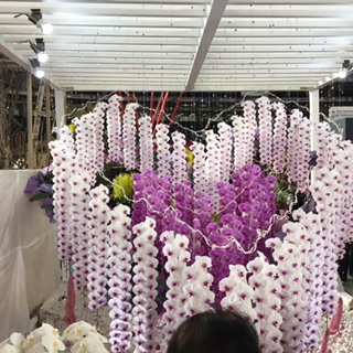 image5.jpeg