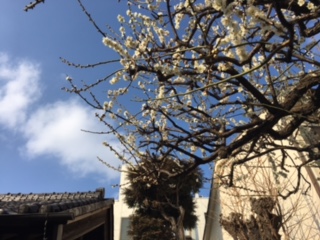image1.jpeg