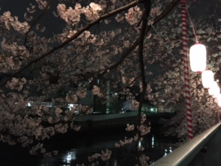 image1.jpeg