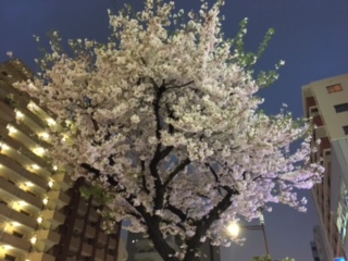 image2.jpeg