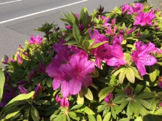 image1.jpeg