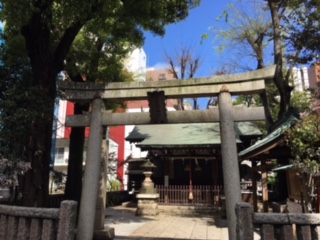 image1.jpeg