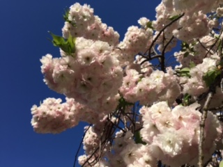 image8.jpeg
