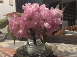 image1.jpeg