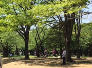 image2.jpeg