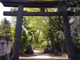 image5.jpeg