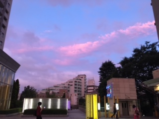 image1.jpeg