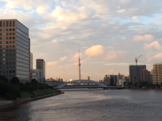 image1.jpeg