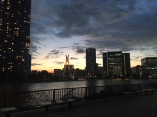 image5.jpeg