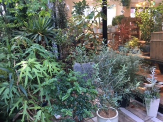 image1.jpeg
