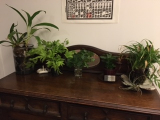 image1.jpeg