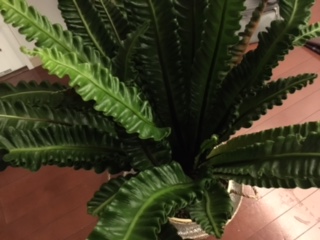 image3.jpeg